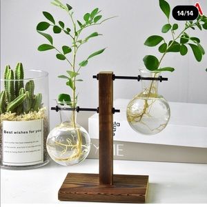 Sold….  Flower vase / Bulb Glass Hydroponic Vase Plant Pot